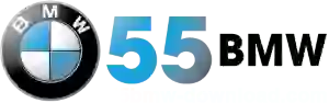55BMW logo
